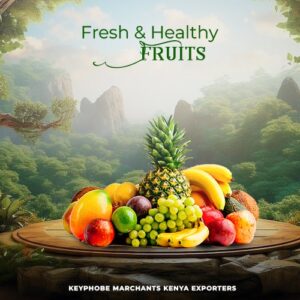 WhatsApp Image 2025-10-22 at 21.34.00