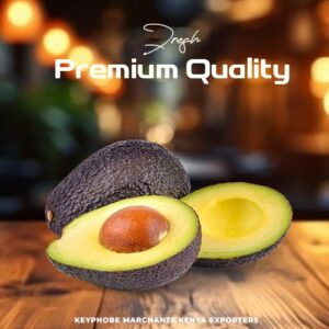 WhatsApp Image 2025-10-22 at 21.34.01 (1)